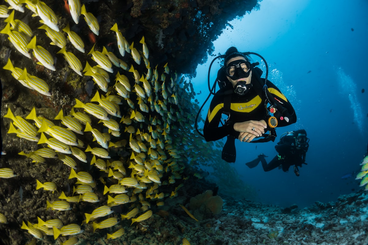 Plongée & Snorkeling