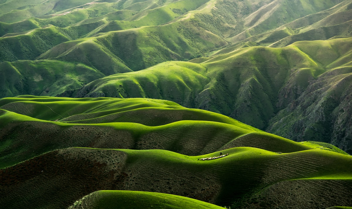 Nature & Randonnée