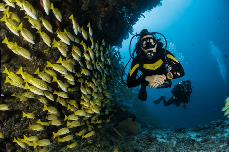 Snorkeling à la Réserve Cousteau